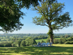 à vendre Domaine Rezay