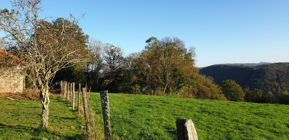 vente Longere Saint Gervais D'auvergne - Photo 8