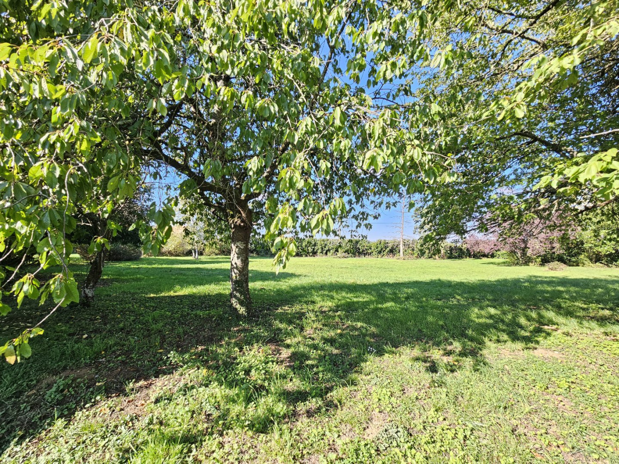 à vendre Maison de campagne Bussy - Photo 10