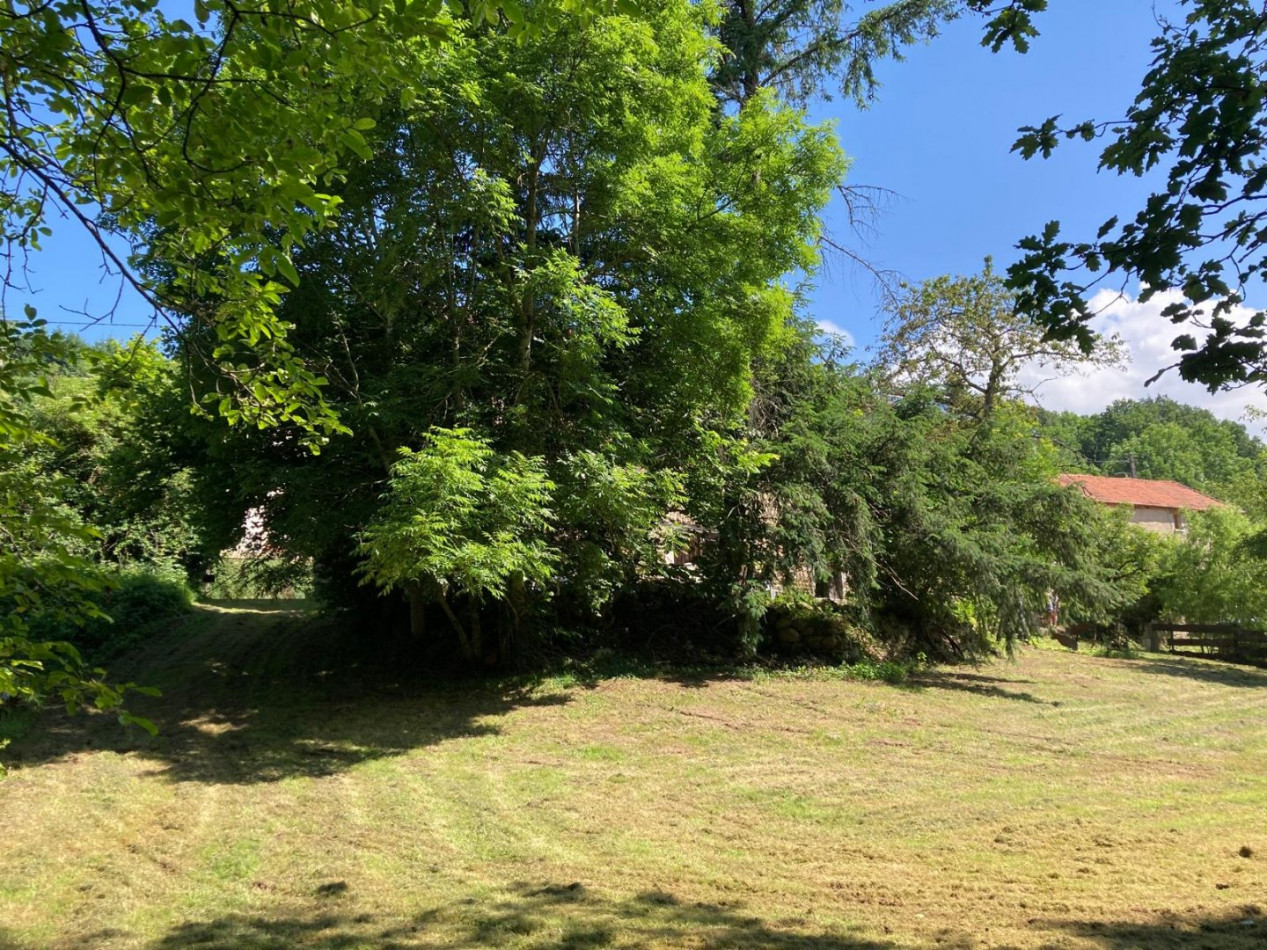 à vendre Maison Laprugne - Photo 9