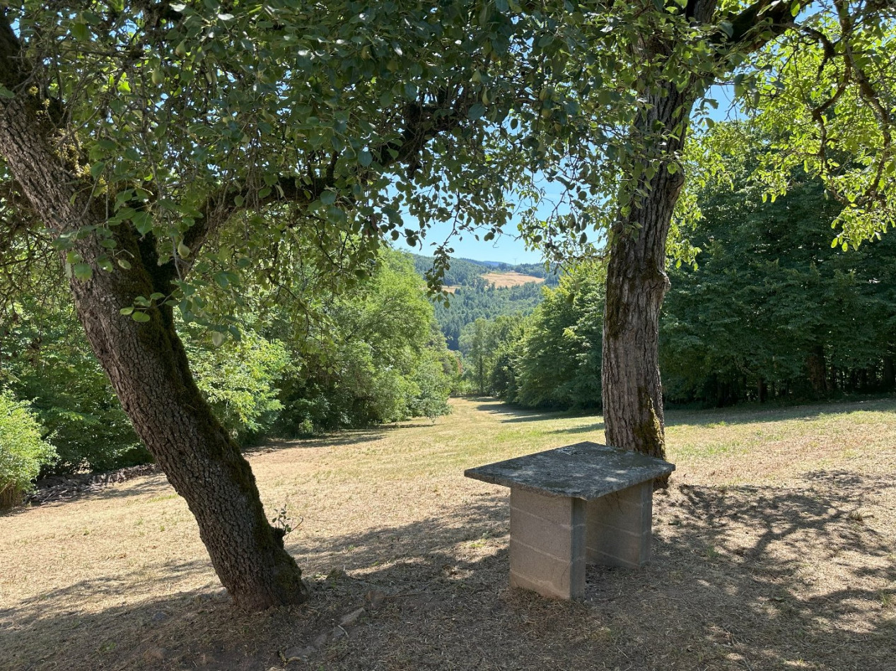 à vendre Maison Chatel Montagne - Photo 10