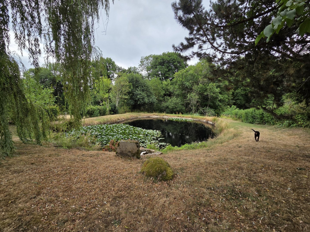 à vendre Maison en pierre Lachaux - Photo 7