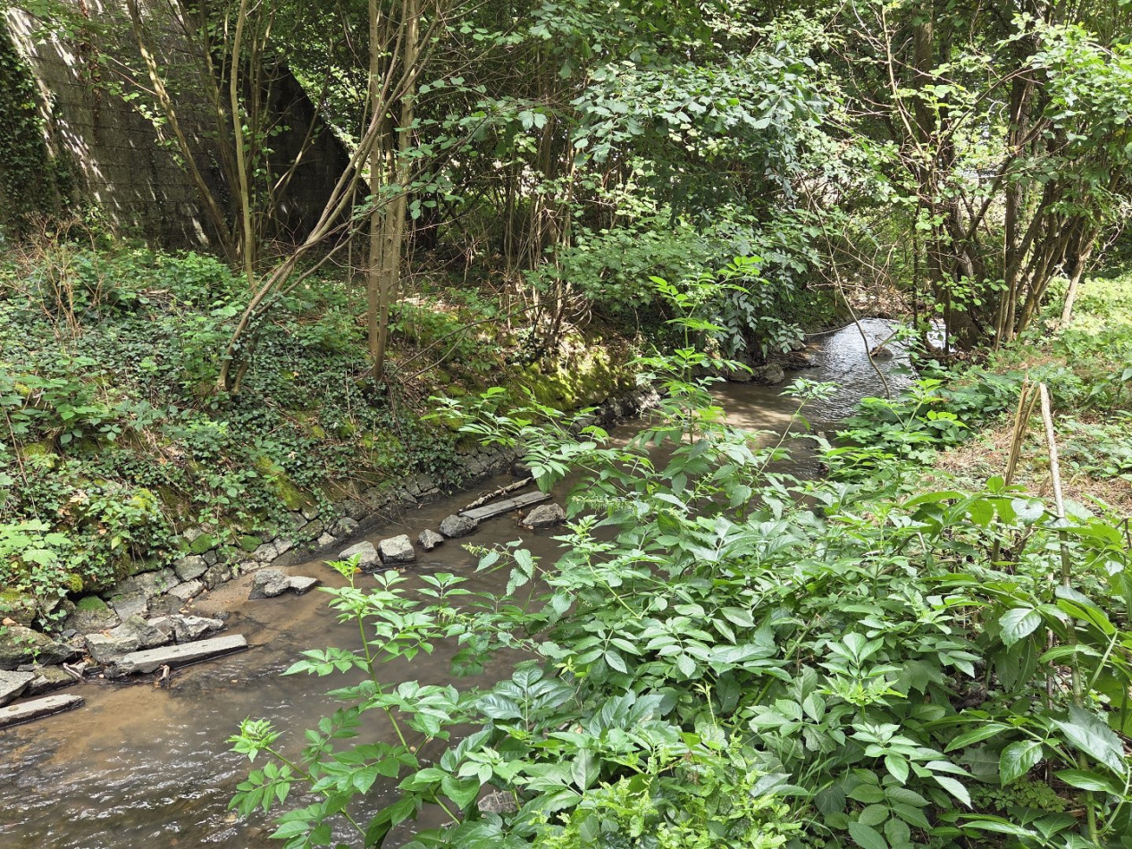 à vendre Moulin Monteignet Sur L'andelot - Photo 10