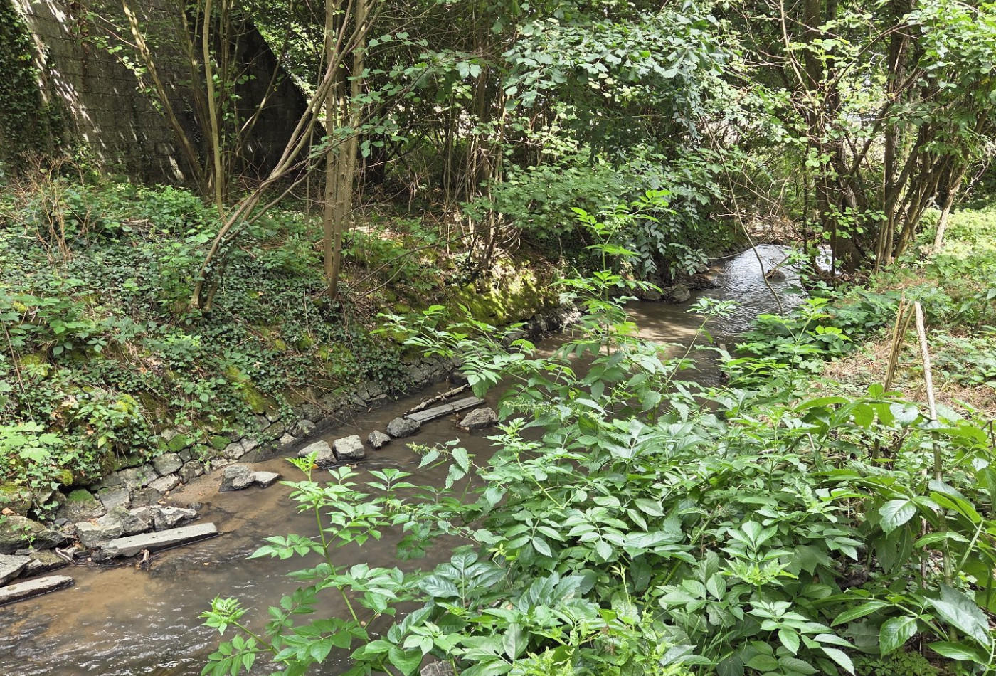 vente Moulin Monteignet Sur L'andelot - Photo 10