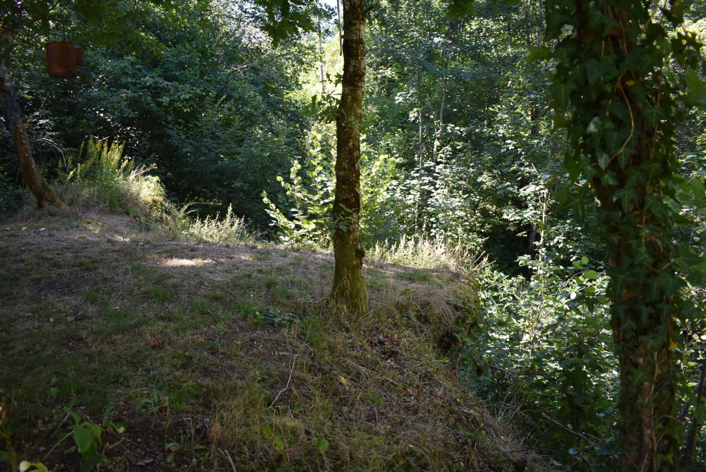 for sale Maison Le Mayet De Montagne - Photo 11