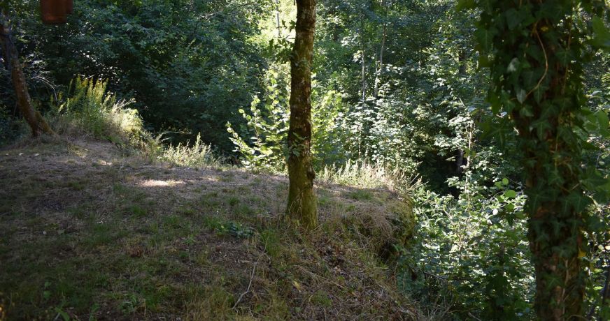 vente Maison Le Mayet De Montagne