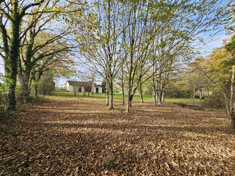 vente Maison de campagne Couleuvre - Photo 8
