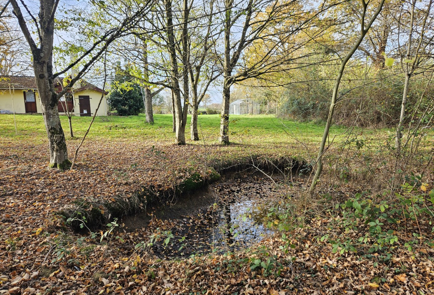 vente Maison de campagne Couleuvre - Photo 10