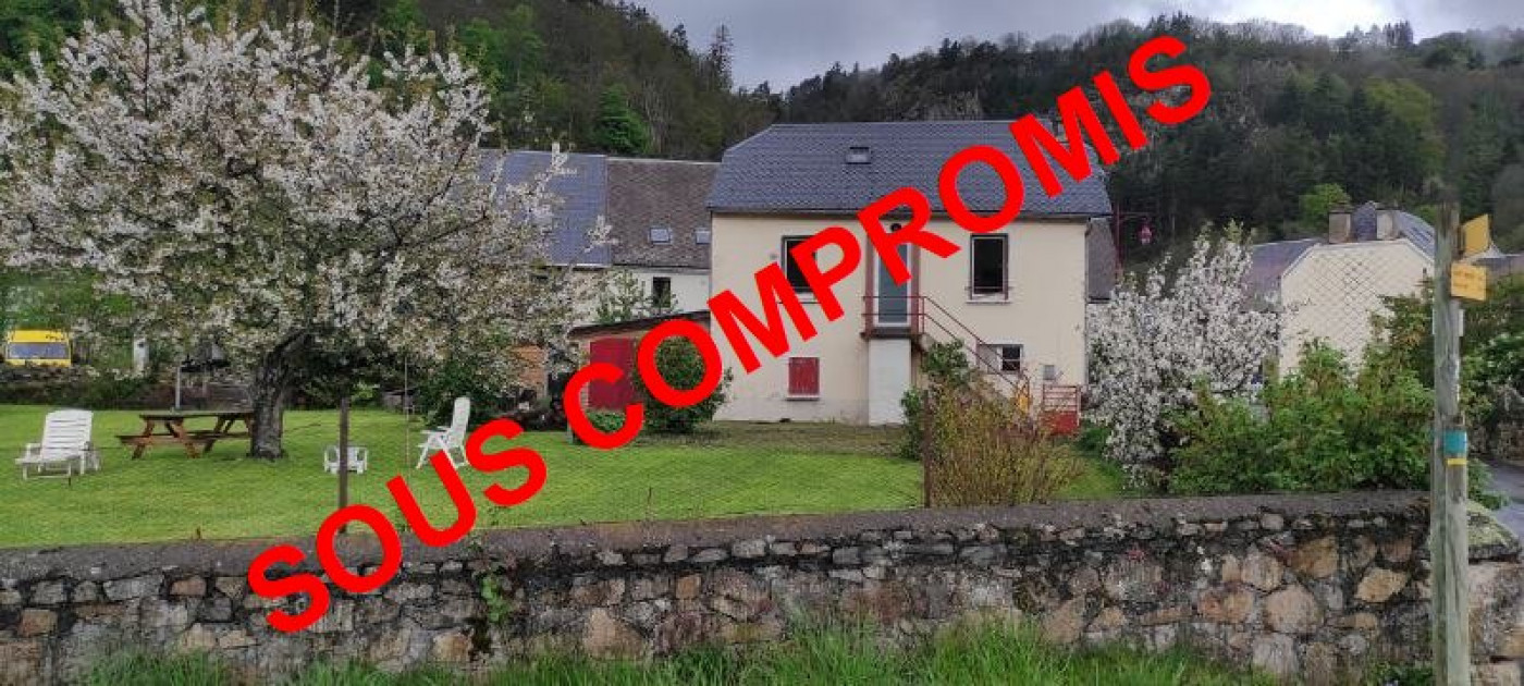 à vendre Maison Chambon Sur Lac - Photo 1