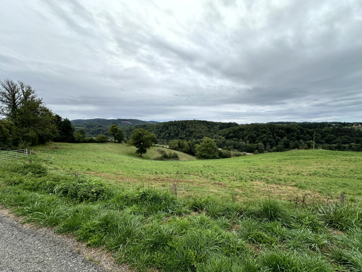 à vendre Longere Saint Clement - Photo 10