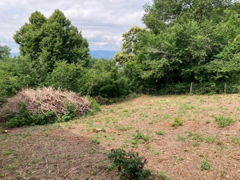 vente Maison à rénover Saint Martin Des Olmes - Photo 3