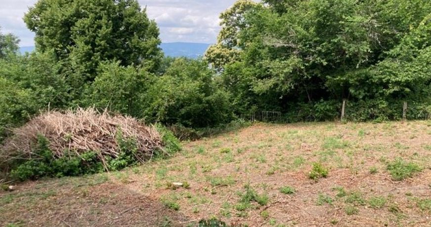 vente Maison à rénover Saint Martin Des Olmes