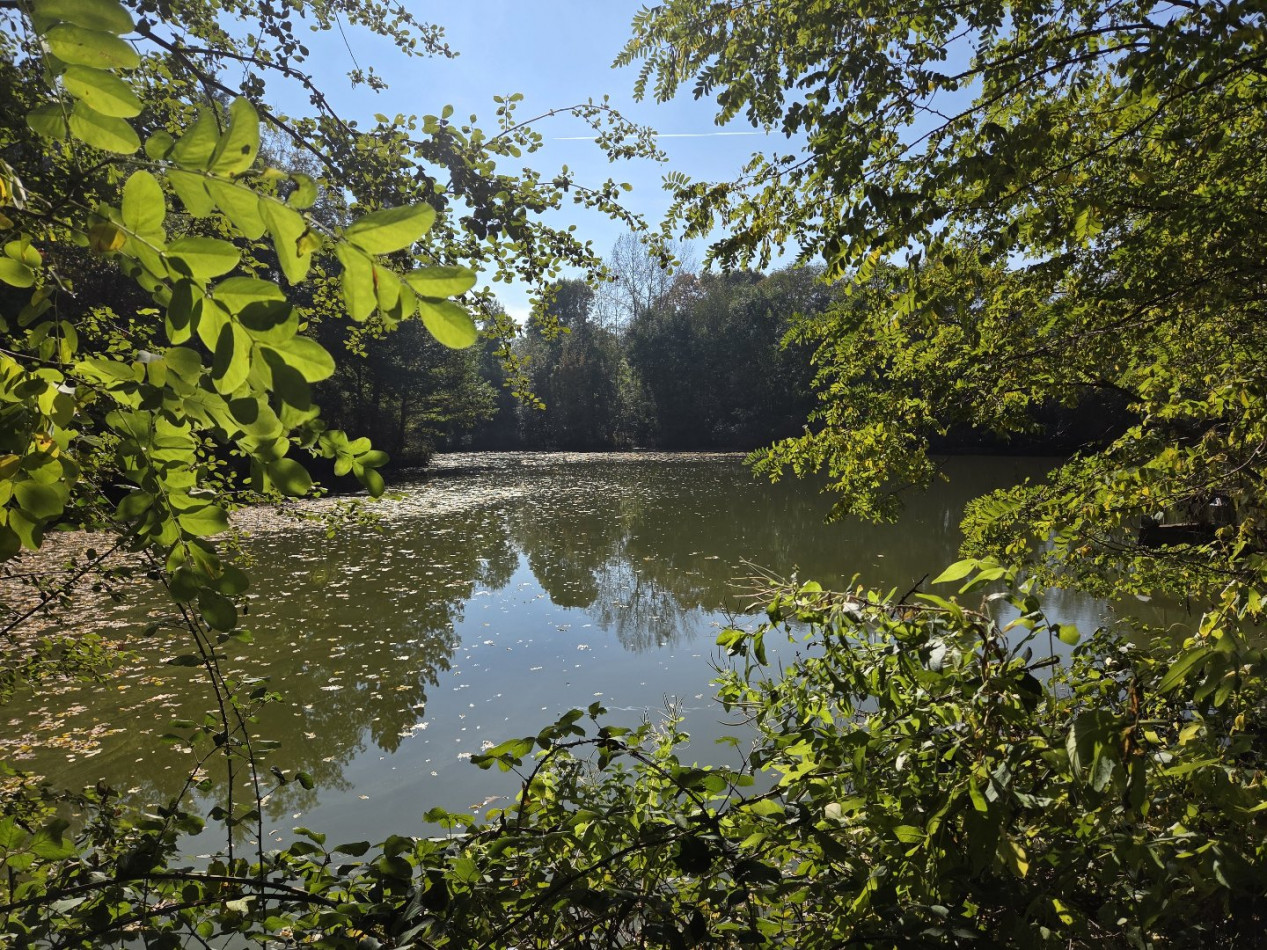 à vendre Maison de caractère Louroux De Beaune - Photo 3