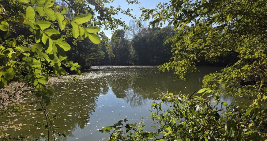 vente Maison de caractère Louroux De Beaune