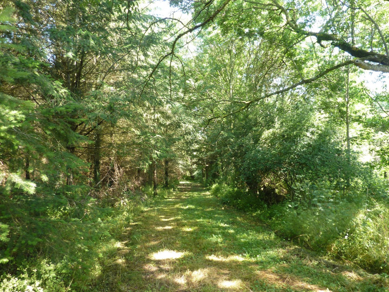 à vendre Maison de caractère Louroux De Beaune - Photo 10