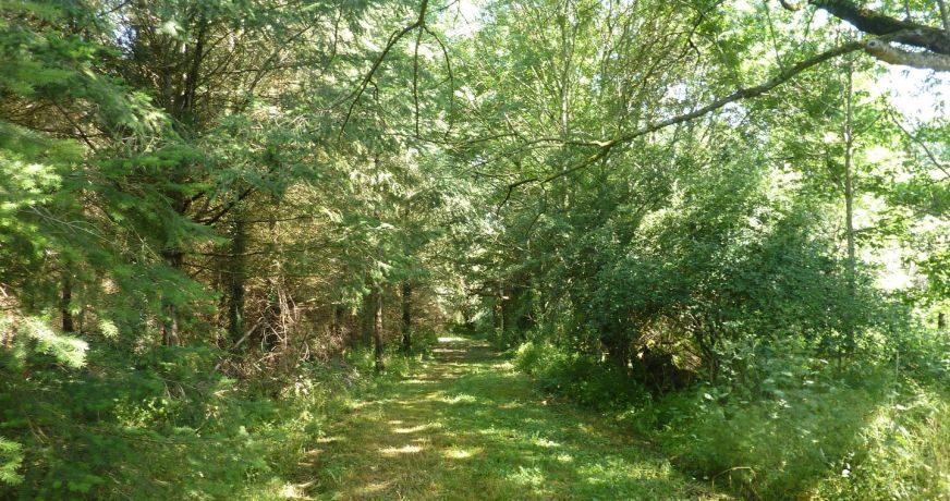 vente Maison de caractère Louroux De Beaune