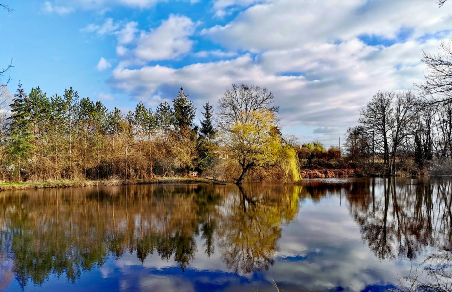 vente Maison de caractère Lurcy Levis - Photo 1