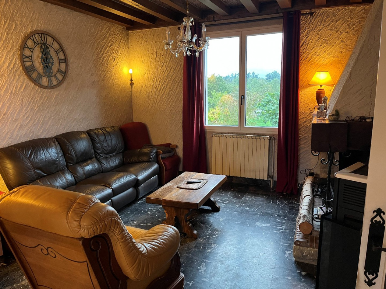 à vendre Maison de caractère Lurcy Levis - Photo 3