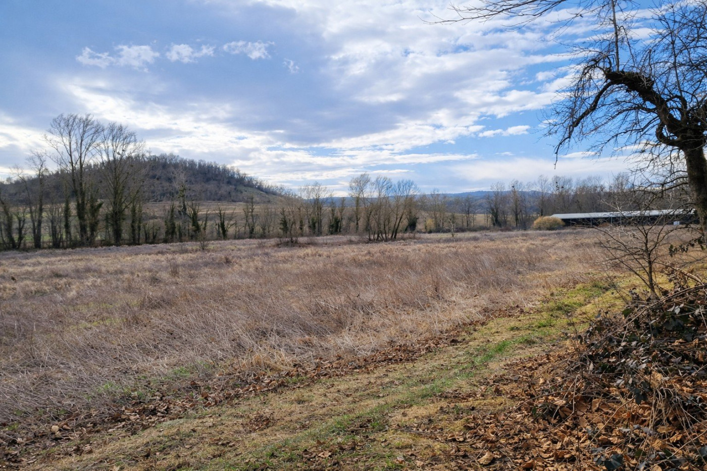 for sale Manoir Perrier - Photo 10