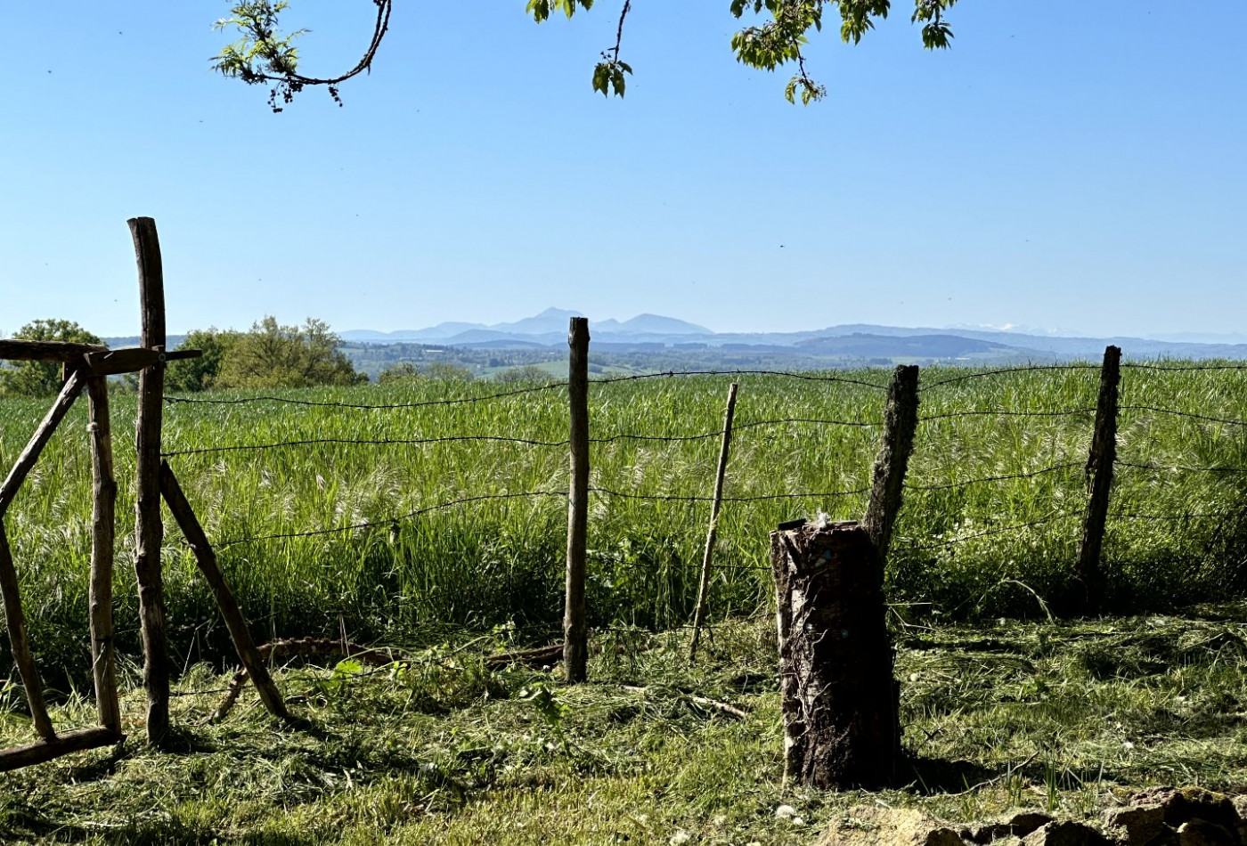vente Maison Nades - Photo 10