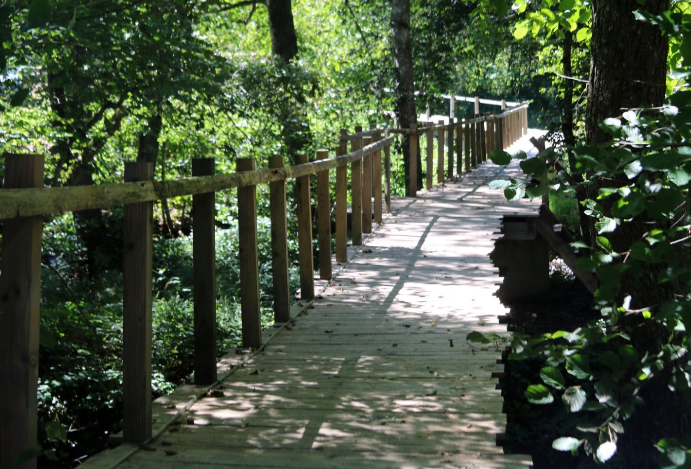 vente Domaine Le Breuil - Photo 10