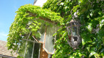 à vendre Maison bourgeoise Saint Gervais D'auvergne