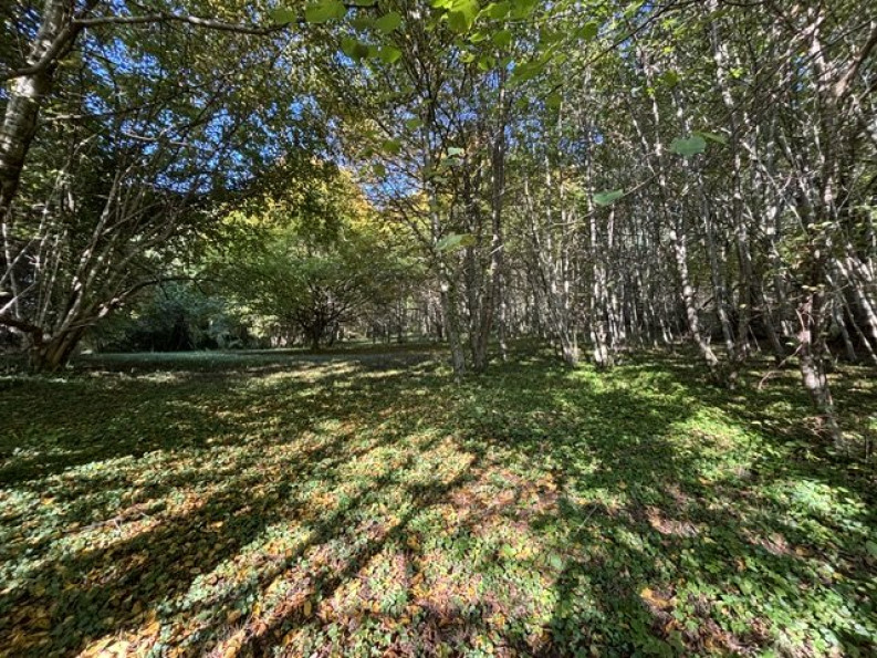 vente Maison Arronnes - Photo 10