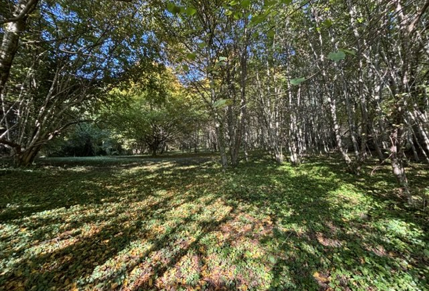 vente Maison Arronnes - Photo 10
