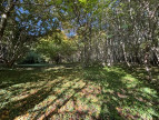 vente Maison Arronnes