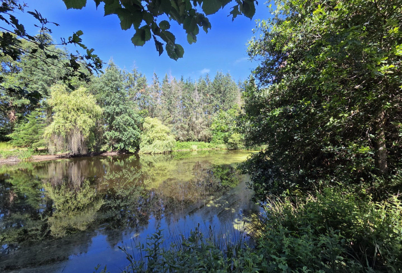vente Longere Saint Caprais - Photo 9