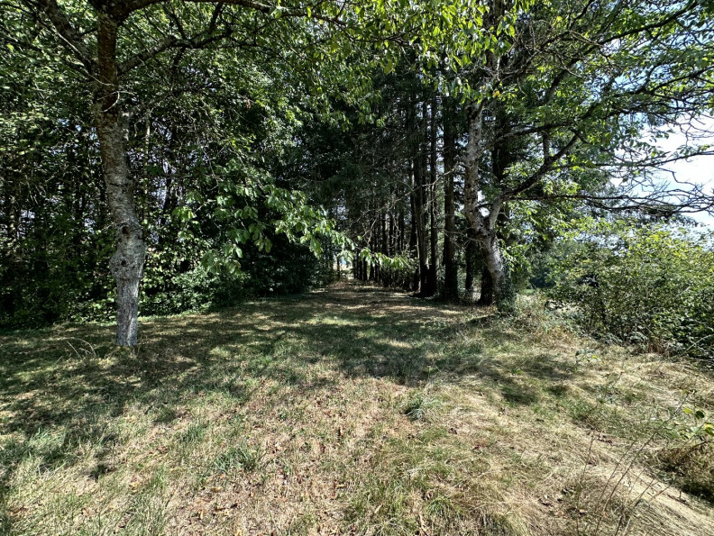 vente Maison Nizerolles - Photo 10