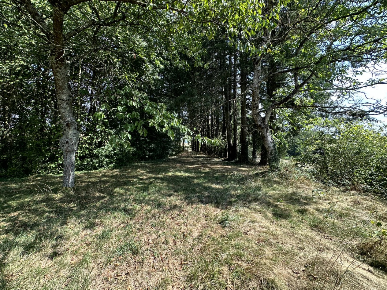 à vendre Maison Nizerolles - Photo 10