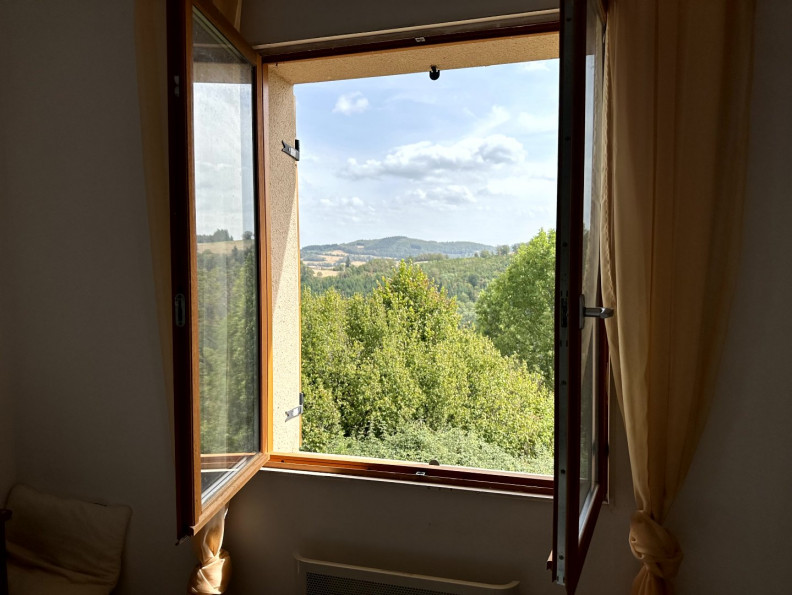 vente Maison Chatel Montagne - Photo 7