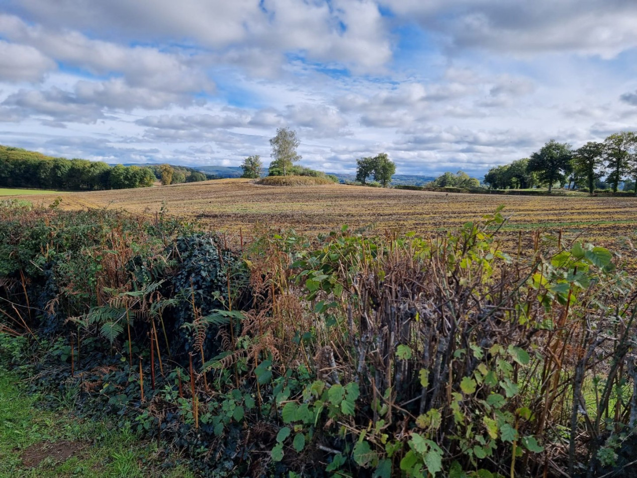 à vendre Domaine Ronnet - Photo 14