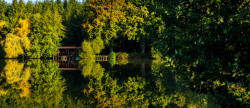 vente Domaine Vaumas