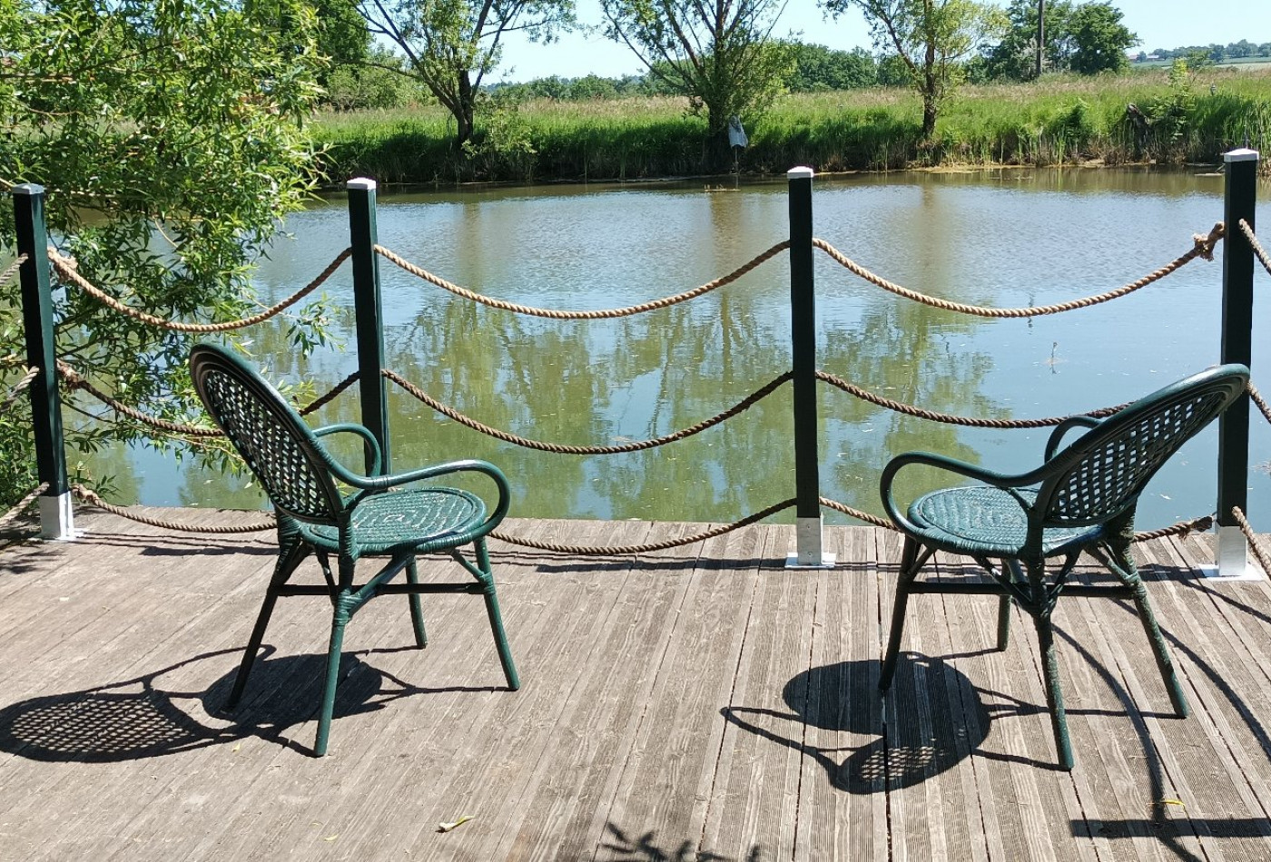 vente Domaine Saint Hilaire - Photo 2