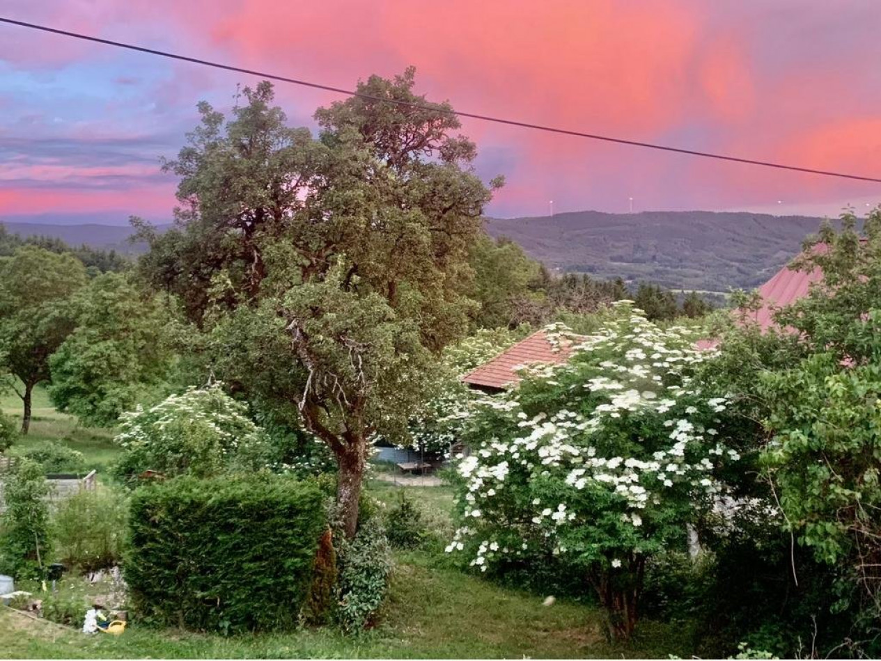 à vendre Maison en pierre Laprugne - Photo 12
