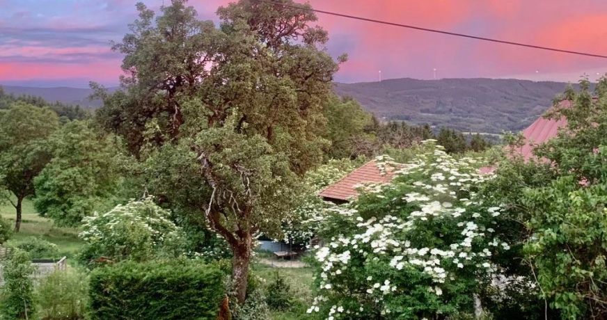 vente Maison en pierre Laprugne