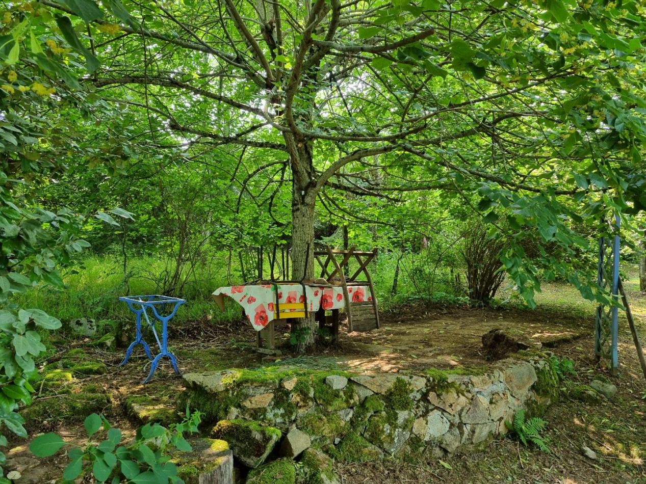 à vendre Maison en pierre Laprugne - Photo 10
