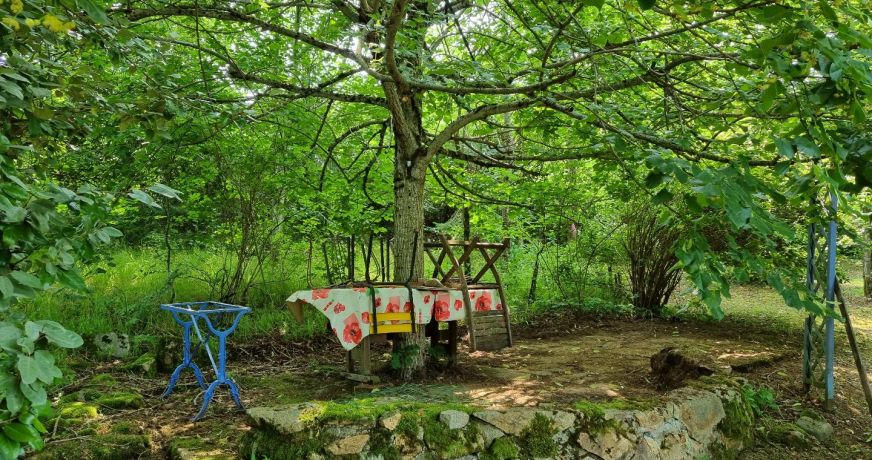 vente Maison en pierre Laprugne