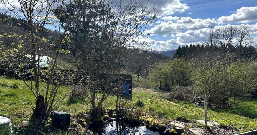 vente Maison en pierre Laprugne