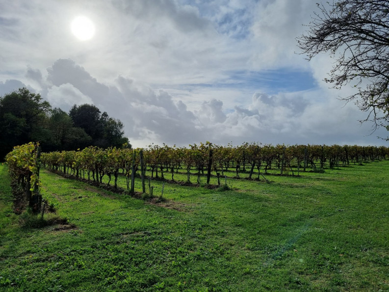 vente Propriété viticole Vanzac - Photo 2
