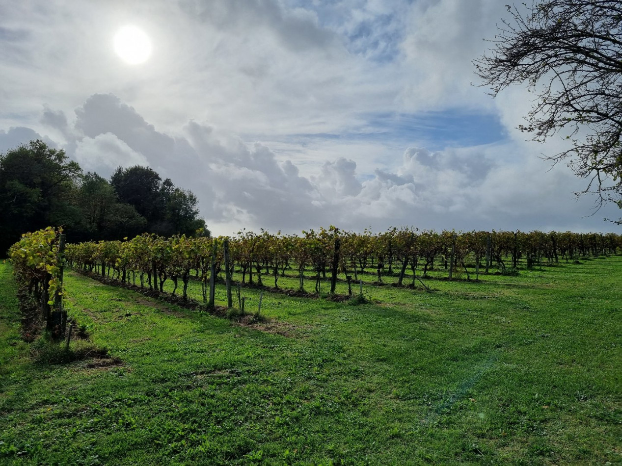 à vendre Propriété viticole Vanzac - Photo 2