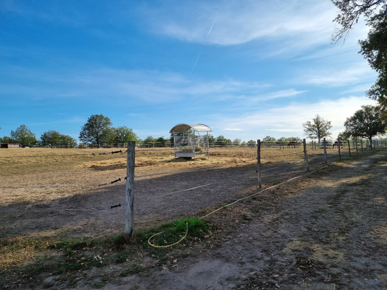 for sale Haras / equestre Sauvagny - Photo 7