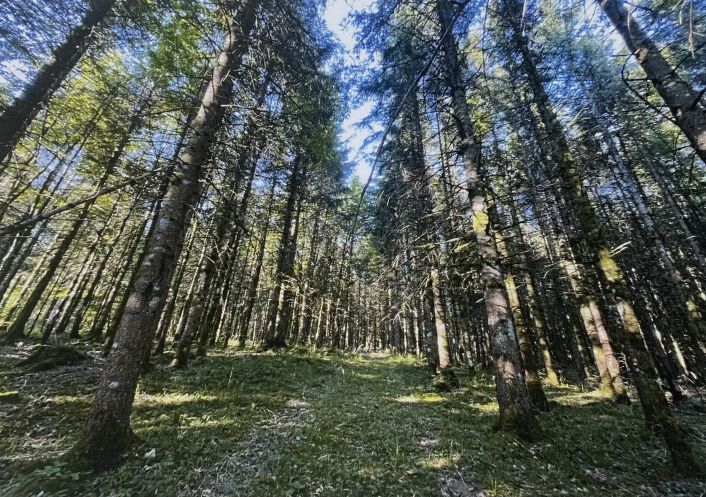 à vendre Propriété forestière Pontarlier