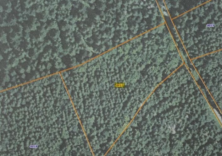 à vendre Propriété forestière Pontarlier
