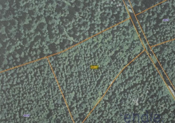 à vendre Propriété forestière Pontarlier