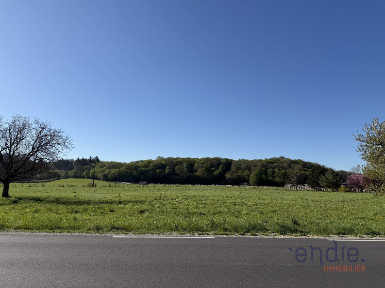 vente Terrain Chamblay - Photo 3