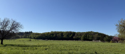 vente Terrain Chamblay