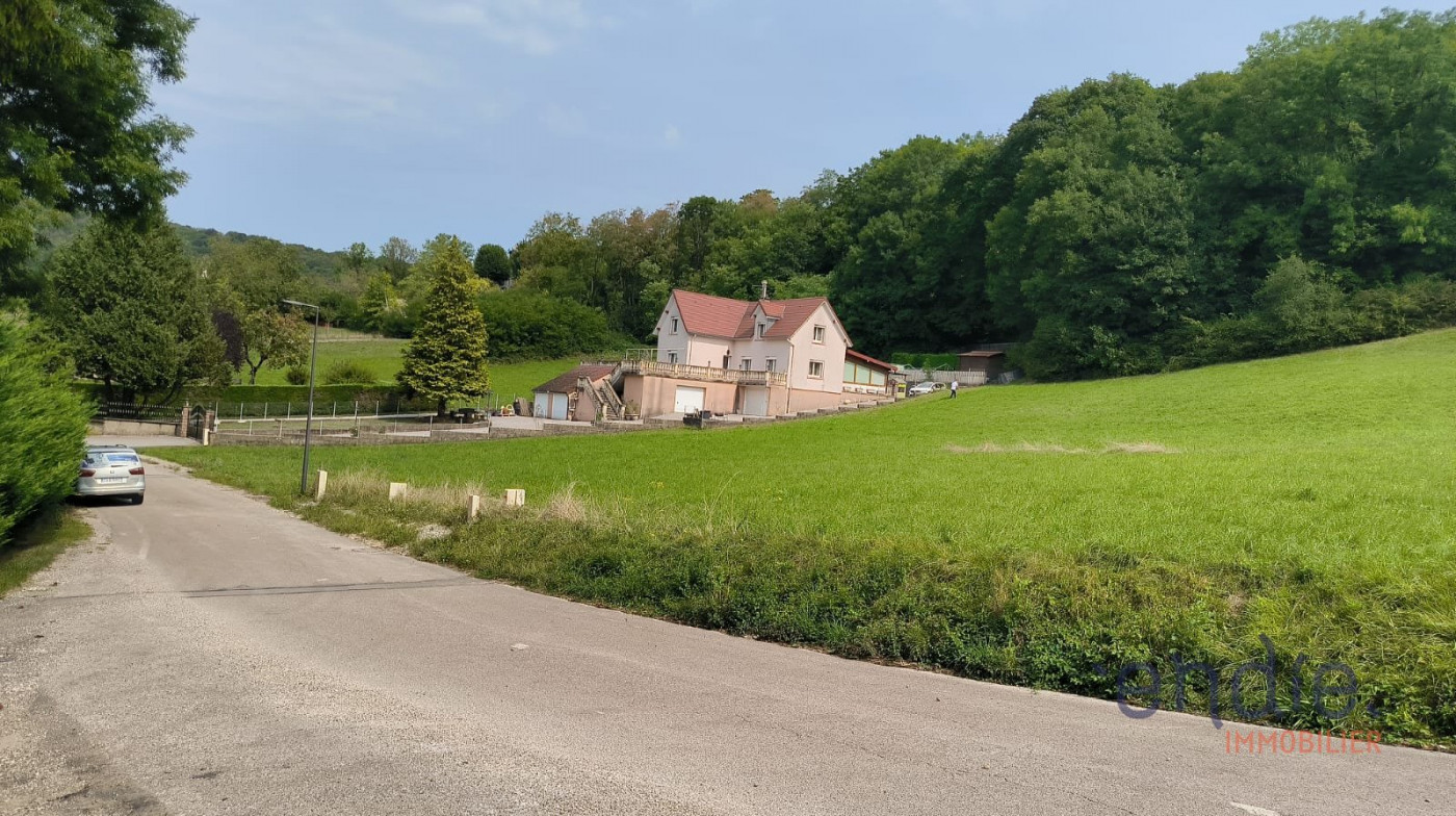 vente Terrain Pannessieres - Photo 3